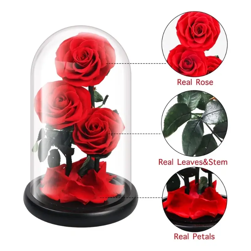 Preserved Flower in Glass Dome – Red Medium Rose, Forever Enchanted Handmade Gift for Mom, Wife, Girlfriend, Mother’s Day, Valentine’s Day, Birthday & Anniversary - Image 5