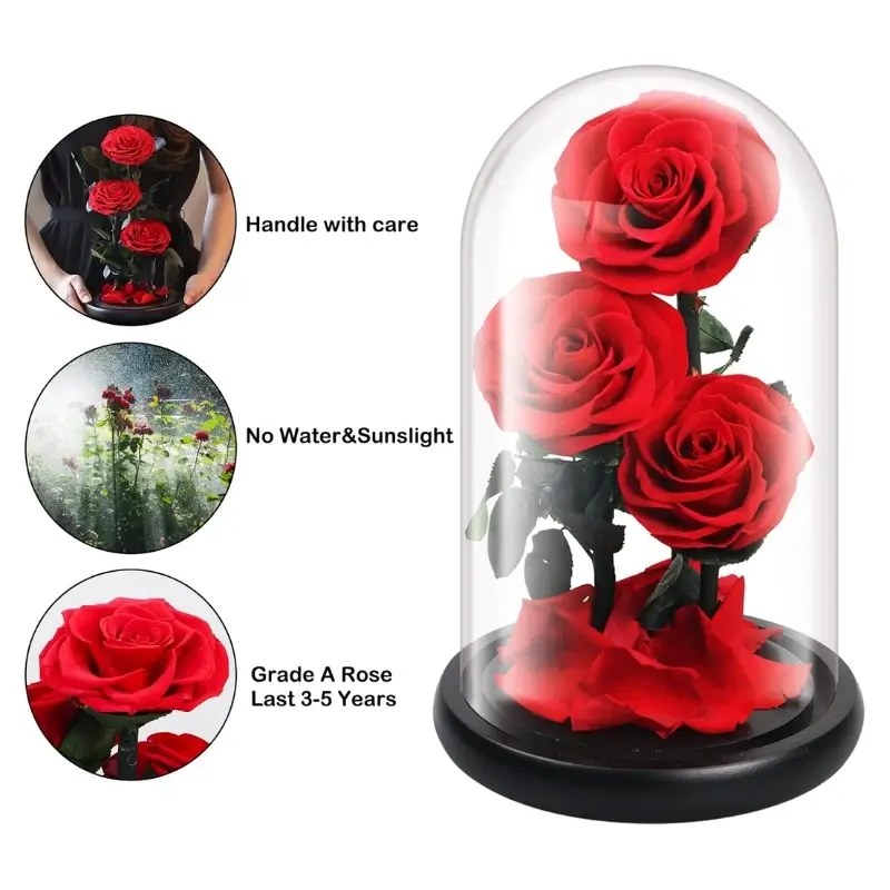 Preserved Flower in Glass Dome – Red Medium Rose, Forever Enchanted Handmade Gift for Mom, Wife, Girlfriend, Mother’s Day, Valentine’s Day, Birthday & Anniversary - Image 2