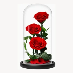 Preserved Rose in Glass Dome – (Red,Large Size) Forever Rose Gift, Eternal Long Lasting Flower, Romantic Beauty and the Beast Rose Decoration for Anniversary, Valentine’s, Birthday
