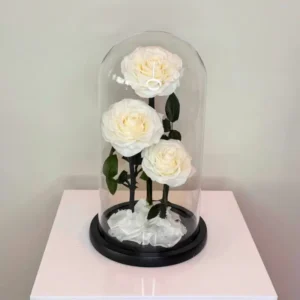 Forever Rose in Glass Dome (White, Large Size) – Preserved White Roses 3 Dome Decoration, Eternal Rose Gift for Wedding Anniversary, Valentine’s Day, Mother’s Day, Birthday, Romantic Home Décor & Luxury Floral Keepsake