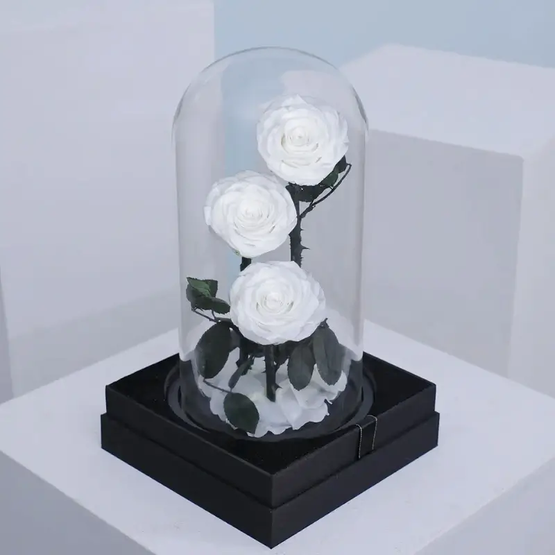 Forever Rose in Glass Dome (White, Large Size) – Preserved White Roses 3 Dome Decoration, Eternal Rose Gift for Wedding Anniversary, Valentine’s Day, Mother’s Day, Birthday, Romantic Home Décor & Luxury Floral Keepsake - Image 2