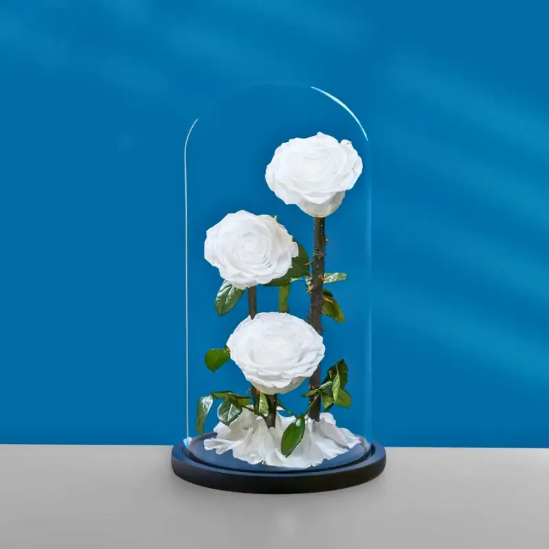 Forever Rose in Glass Dome (White, Large Size) – Preserved White Roses 3 Dome Decoration, Eternal Rose Gift for Wedding Anniversary, Valentine’s Day, Mother’s Day, Birthday, Romantic Home Décor & Luxury Floral Keepsake - Image 3
