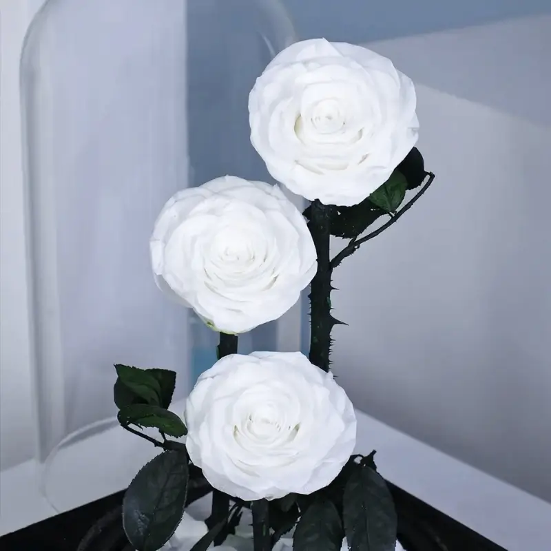 Forever Rose in Glass Dome (White, Large Size) – Preserved White Roses 3 Dome Decoration, Eternal Rose Gift for Wedding Anniversary, Valentine’s Day, Mother’s Day, Birthday, Romantic Home Décor & Luxury Floral Keepsake - Image 5