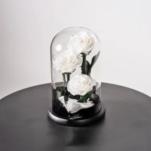 Preserved White Rose in Luxury Glass Dome – Medium Size | Eternal Flower Gift for Valentine's Day, Women's Day, Wedding Anniversary & Birthday